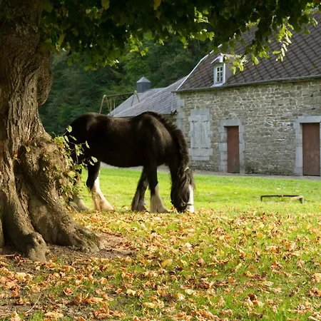 Vireux-wallerand Chateau Sleeps 60 Wifi Landsted